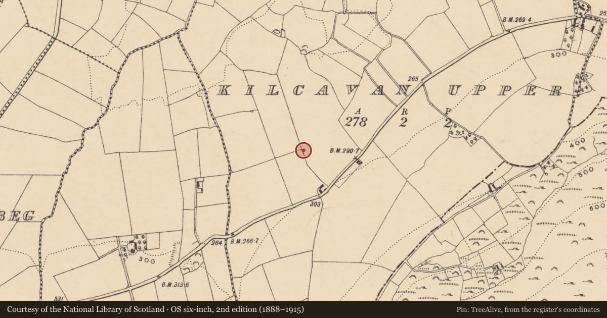 Ordnance Survey six-inch map, 2nd edition (1888–1915) covering the location of Standing stone, Kilcavan Upper, County Wexford, with a pin at the register's coordinates