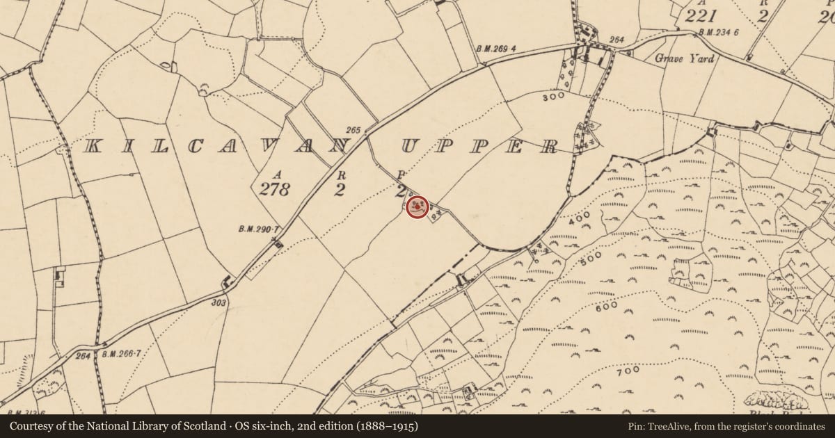 Ordnance Survey six-inch map, 2nd edition (1888–1915) covering the location of Ringfort - rath, Kilcavan Upper, County Wexford, with a pin at the register's coordinates