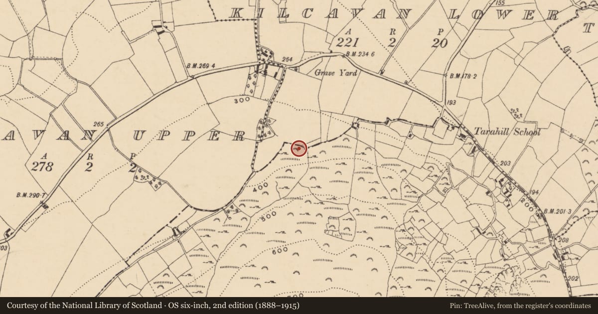 Ordnance Survey six-inch map, 2nd edition (1888–1915) covering the location of Ritual site - holy well, Tarahill, County Wexford, with a pin at the register's coordinates