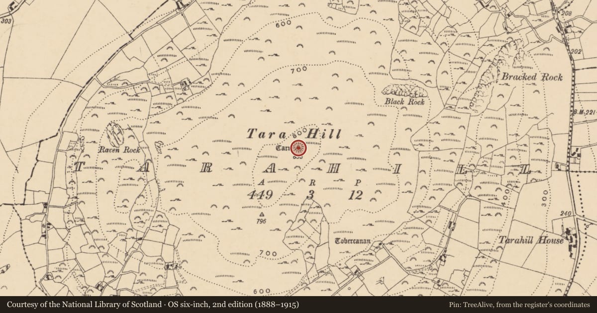 Ordnance Survey six-inch map, 2nd edition (1888–1915) covering the location of Cairn - unclassified, Tarahill, County Wexford, with a pin at the register's coordinates