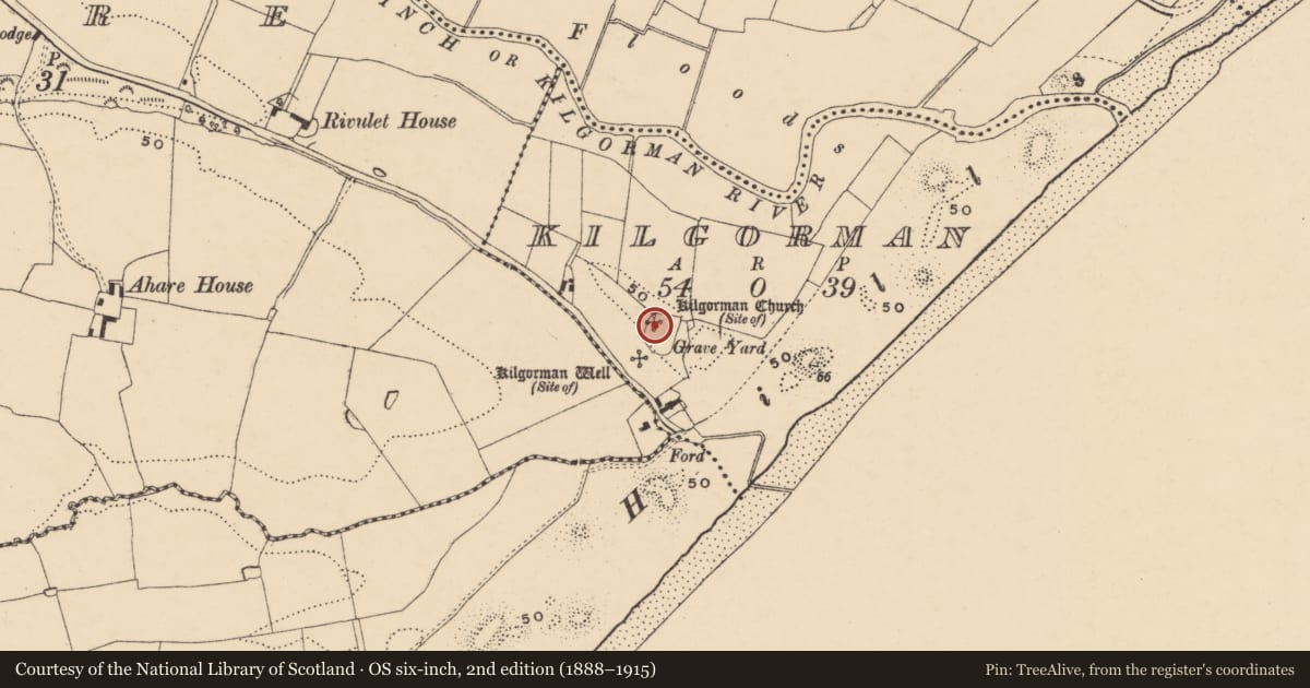 Ordnance Survey six-inch map, 2nd edition (1888–1915) covering the location of Church, Kilgorman, County Wexford, with a pin at the register's coordinates