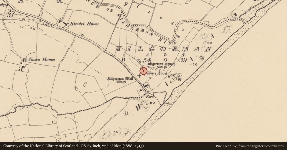 Ordnance Survey six-inch map, 2nd edition (1888–1915) covering the location of Graveslab, Kilgorman, County Wexford, with a pin at the register's coordinates