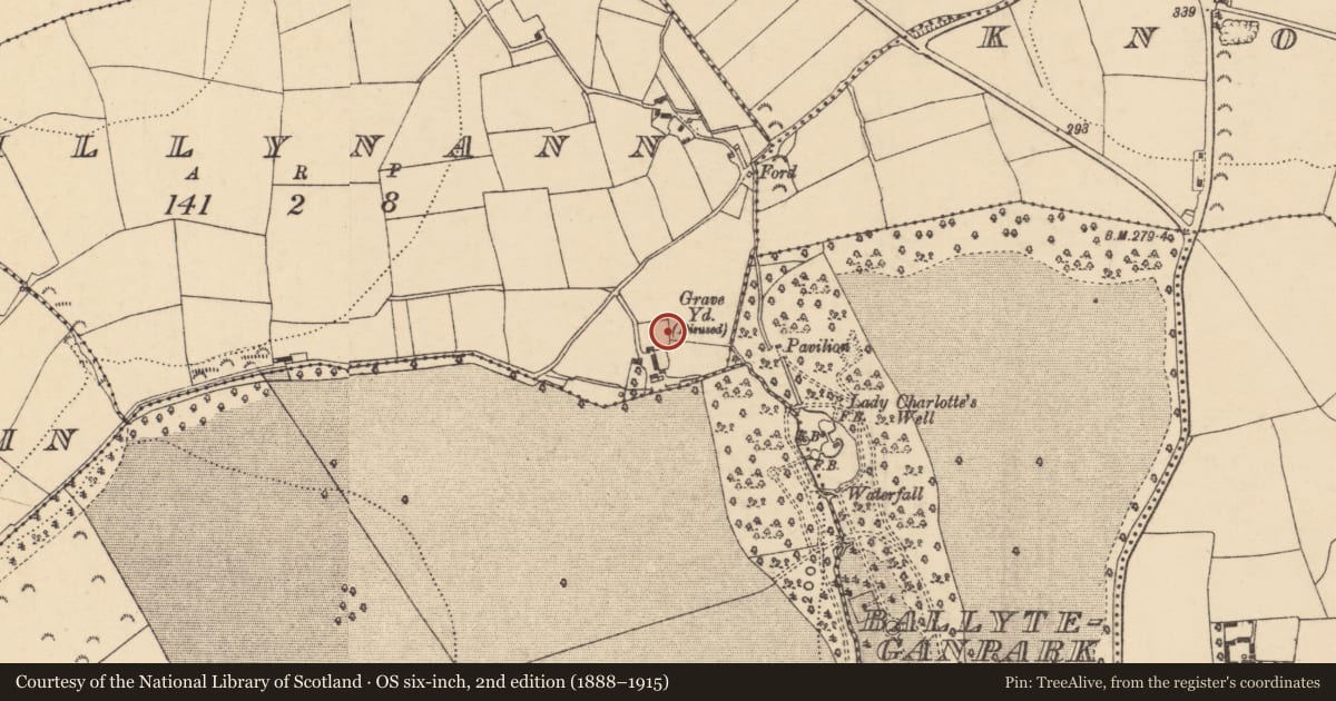 Ordnance Survey six-inch map, 2nd edition (1888–1915) covering the location of Bullaun stone, Killynann, County Wexford, with a pin at the register's coordinates