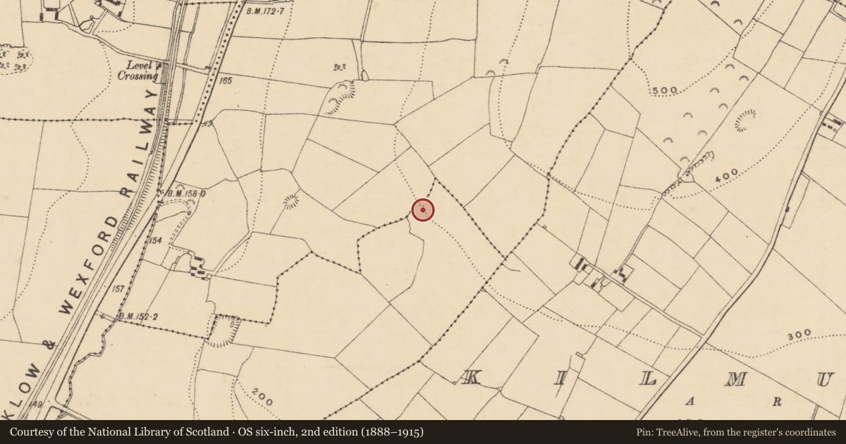 Ordnance Survey six-inch map, 2nd edition (1888–1915) covering the location of Ringfort - rath, Ballyloughan, County Wexford, with a pin at the register's coordinates