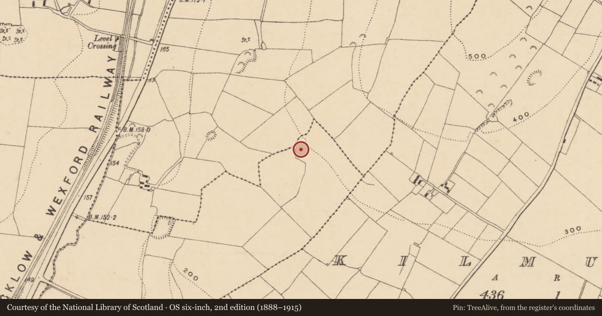 Ordnance Survey six-inch map, 2nd edition (1888–1915) covering the location of Enclosure, Ballyloughan, County Wexford, with a pin at the register's coordinates