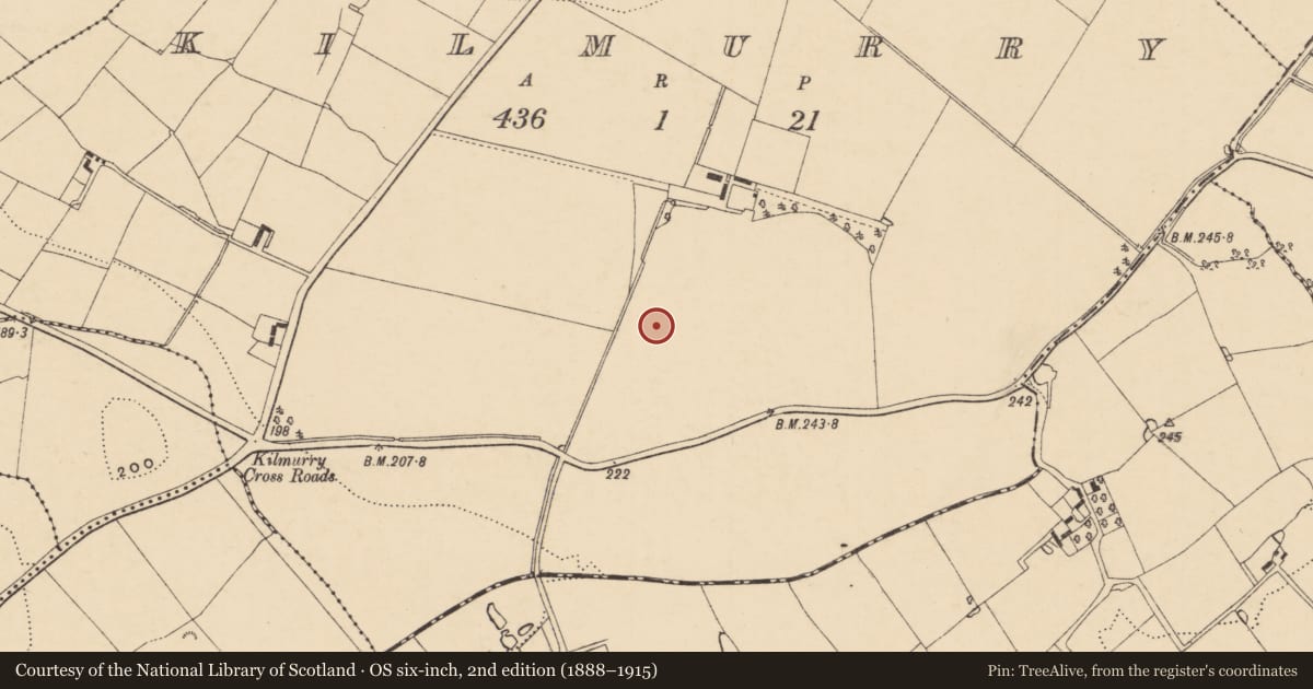Ordnance Survey six-inch map, 2nd edition (1888–1915) covering the location of Concentric enclosure, Kilmurry, County Wexford, with a pin at the register's coordinates
