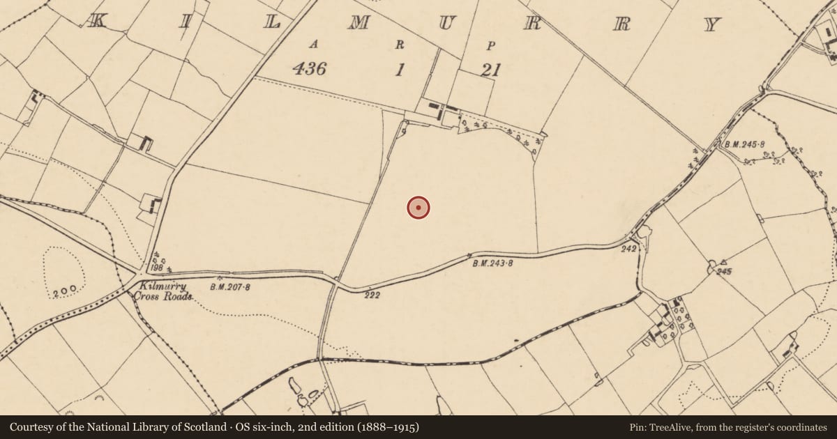 Ordnance Survey six-inch map, 2nd edition (1888–1915) covering the location of Enclosure, Kilmurry, County Wexford, with a pin at the register's coordinates