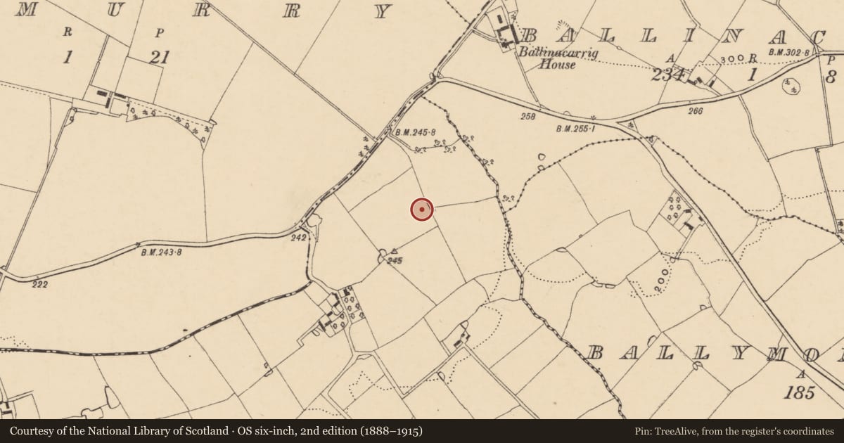Ordnance Survey six-inch map, 2nd edition (1888–1915) covering the location of Ringfort - unclassified, Ballyscartin, County Wexford, with a pin at the register's coordinates