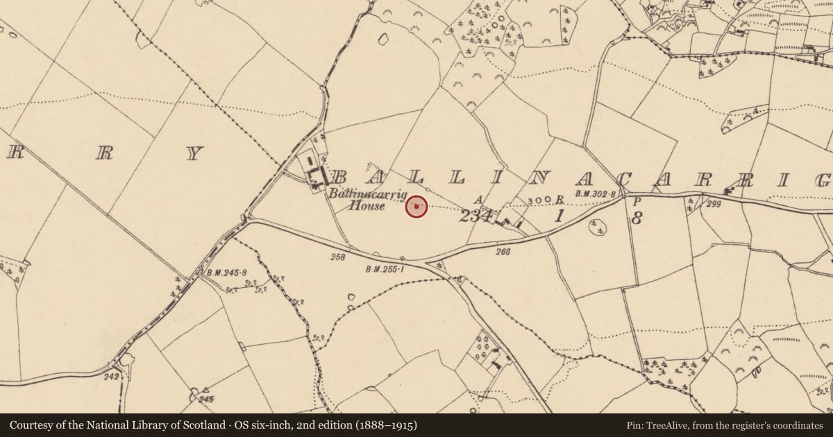 Ordnance Survey six-inch map, 2nd edition (1888–1915) covering the location of Standing stone, Ballinacarrig, County Wexford, with a pin at the register's coordinates