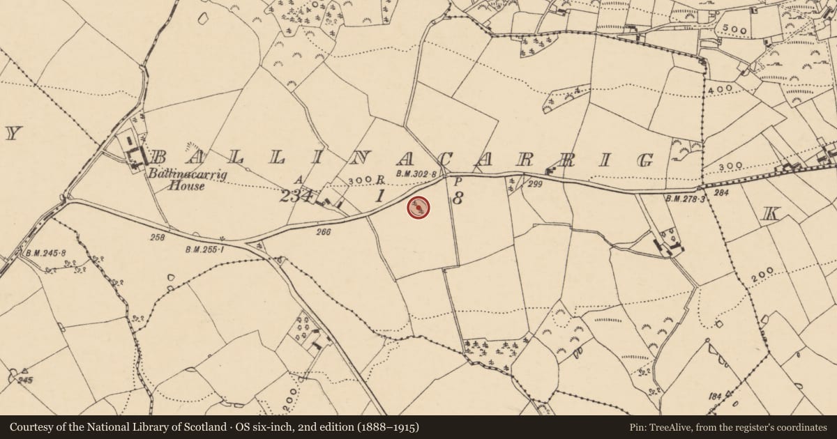 Ordnance Survey six-inch map, 2nd edition (1888–1915) covering the location of Ringfort - rath, Ballinacarrig, County Wexford, with a pin at the register's coordinates