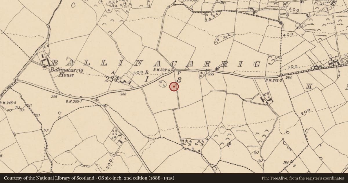 Ordnance Survey six-inch map, 2nd edition (1888–1915) covering the location of Standing stone, Ballinacarrig, County Wexford, with a pin at the register's coordinates