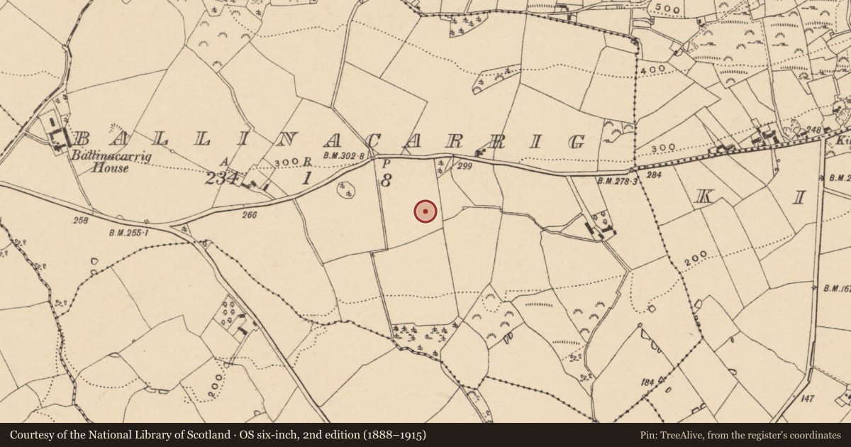 Ordnance Survey six-inch map, 2nd edition (1888–1915) covering the location of Standing stone, Ballinacarrig, County Wexford, with a pin at the register's coordinates