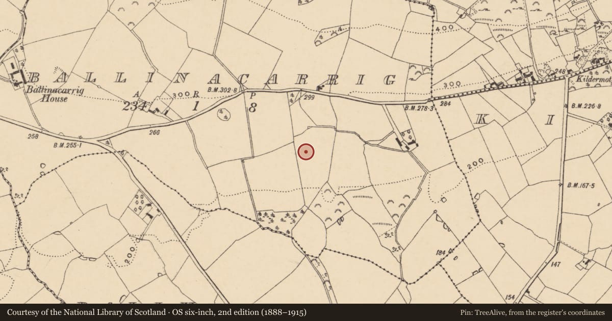 Ordnance Survey six-inch map, 2nd edition (1888–1915) covering the location of Standing stone, Ballinacarrig, County Wexford, with a pin at the register's coordinates