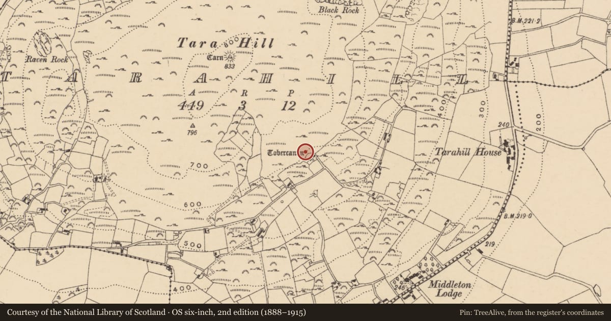 Ordnance Survey six-inch map, 2nd edition (1888–1915) covering the location of Ritual site - holy well, Tarahill, County Wexford, with a pin at the register's coordinates