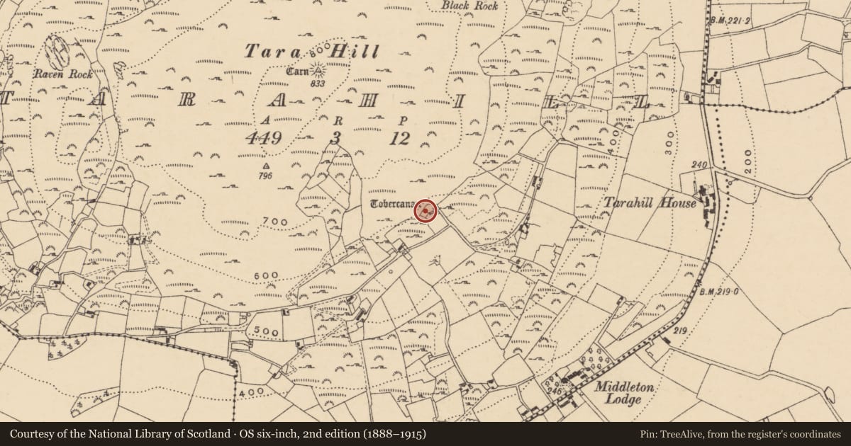 Ordnance Survey six-inch map, 2nd edition (1888–1915) covering the location of Sweathouse, Tarahill, County Wexford, with a pin at the register's coordinates