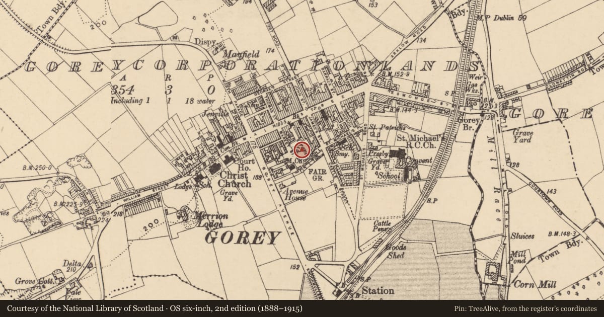 Ordnance Survey six-inch map, 2nd edition (1888–1915) covering the location of Church, Gorey Corporation Lands, County Wexford, with a pin at the register's coordinates