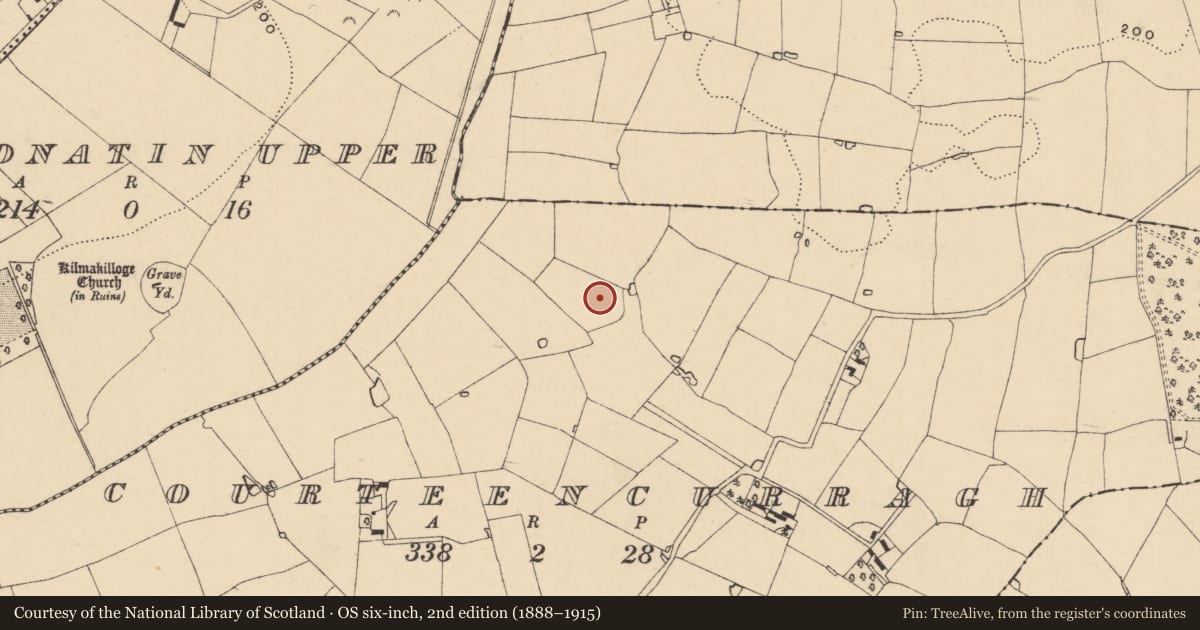 Ordnance Survey six-inch map, 2nd edition (1888–1915) covering the location of Ringfort - unclassified, Courteencurragh, County Wexford, with a pin at the register's coordinates