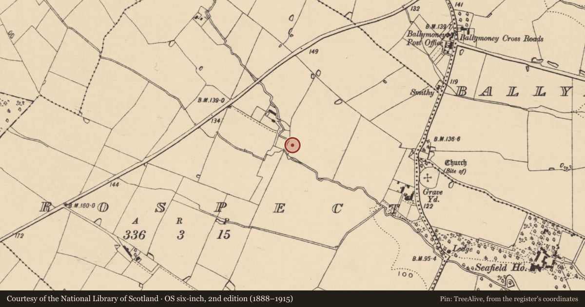 Ordnance Survey six-inch map, 2nd edition (1888–1915) covering the location of House - 17th century, Prospect, County Wexford, with a pin at the register's coordinates