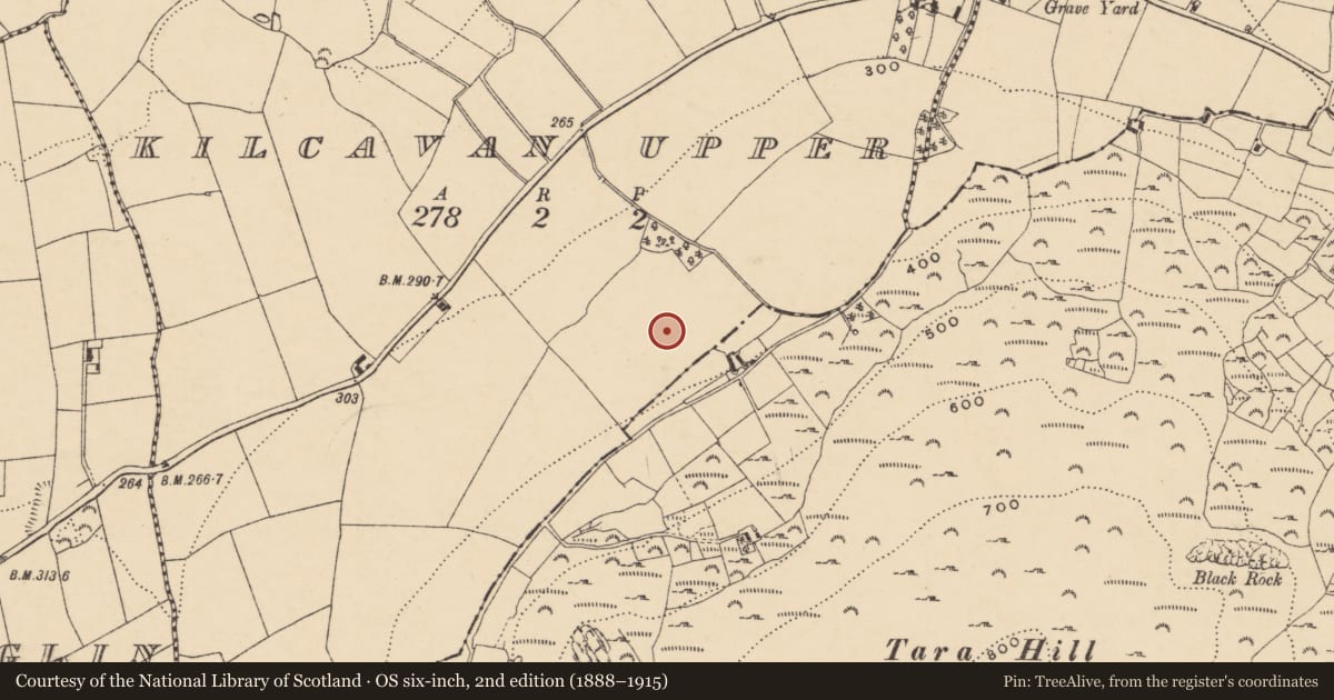 Ordnance Survey six-inch map, 2nd edition (1888–1915) covering the location of Standing stone, Kilcavan Upper, County Wexford, with a pin at the register's coordinates