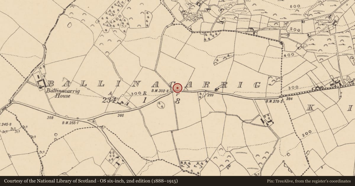 Ordnance Survey six-inch map, 2nd edition (1888–1915) covering the location of Standing stone, Ballinacarrig, County Wexford, with a pin at the register's coordinates