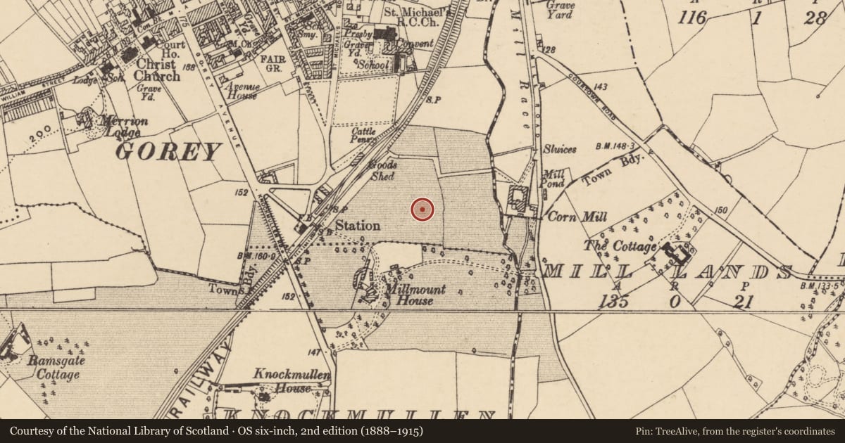 Ordnance Survey six-inch map, 2nd edition (1888–1915) covering the location of Urn burial, Gorey Corporation Lands, County Wexford, with a pin at the register's coordinates