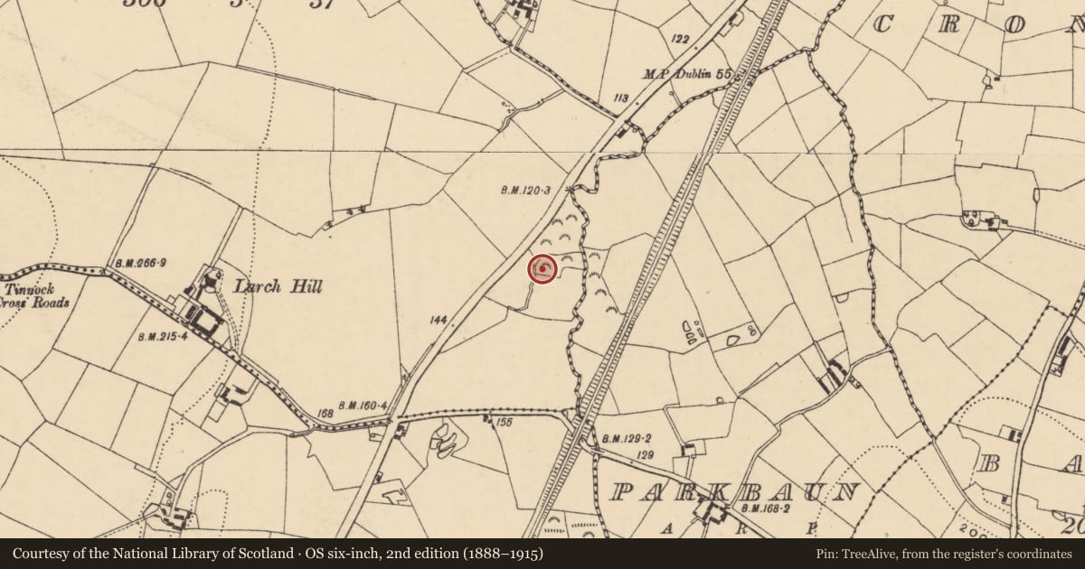 Ordnance Survey six-inch map, 2nd edition (1888–1915) covering the location of Water mill - horizontal-wheeled, Corcanon, County Wexford, with a pin at the register's coordinates