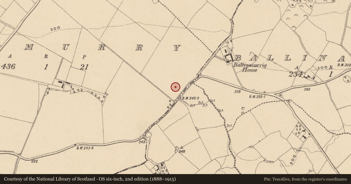 Ordnance Survey six-inch map, 2nd edition (1888–1915) covering the location of Burnt mound, Kilmurry, County Wexford, with a pin at the register's coordinates