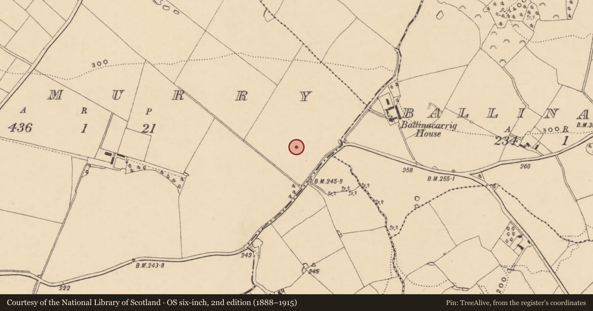 Ordnance Survey six-inch map, 2nd edition (1888–1915) covering the location of Burnt mound, Kilmurry, County Wexford, with a pin at the register's coordinates