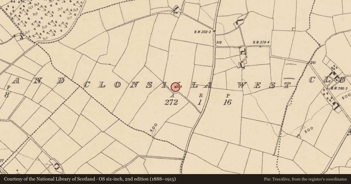Ordnance Survey six-inch map, 2nd edition (1888–1915) covering the location of Ringfort - rath, Clonsilla West, County Wexford, with a pin at the register's coordinates