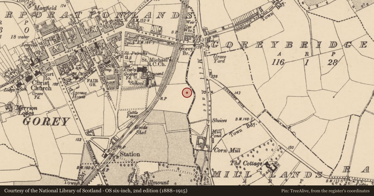 Ordnance Survey six-inch map, 2nd edition (1888–1915) covering the location of Standing stone, Gorey Corporation Lands, County Wexford, with a pin at the register's coordinates