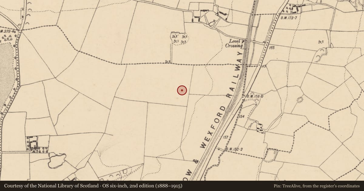 Ordnance Survey six-inch map, 2nd edition (1888–1915) covering the location of Ringfort - rath, Ballytegan, County Wexford, with a pin at the register's coordinates