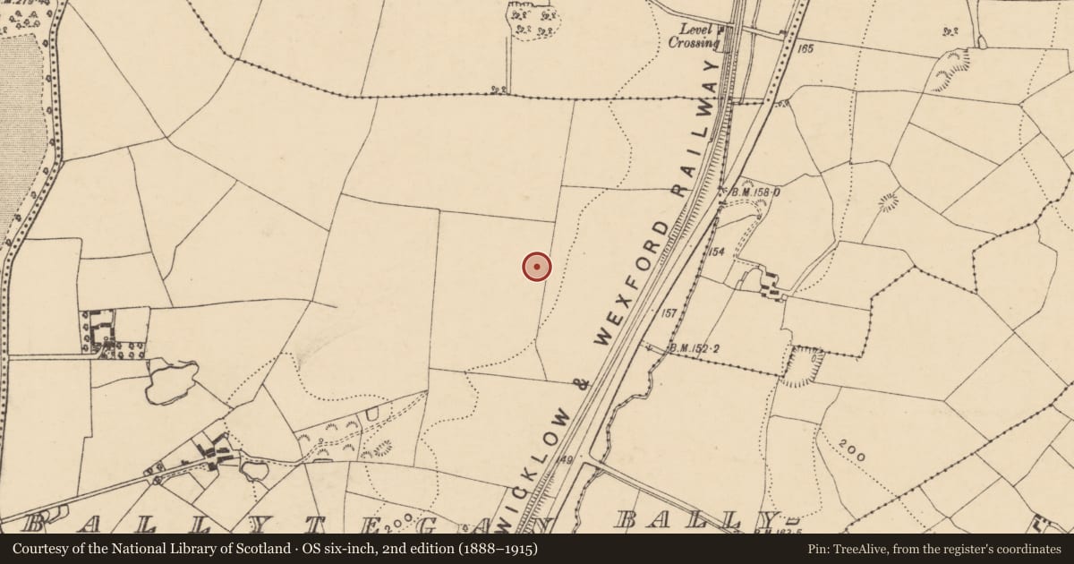 Ordnance Survey six-inch map, 2nd edition (1888–1915) covering the location of Ringfort - rath, Ballytegan, County Wexford, with a pin at the register's coordinates