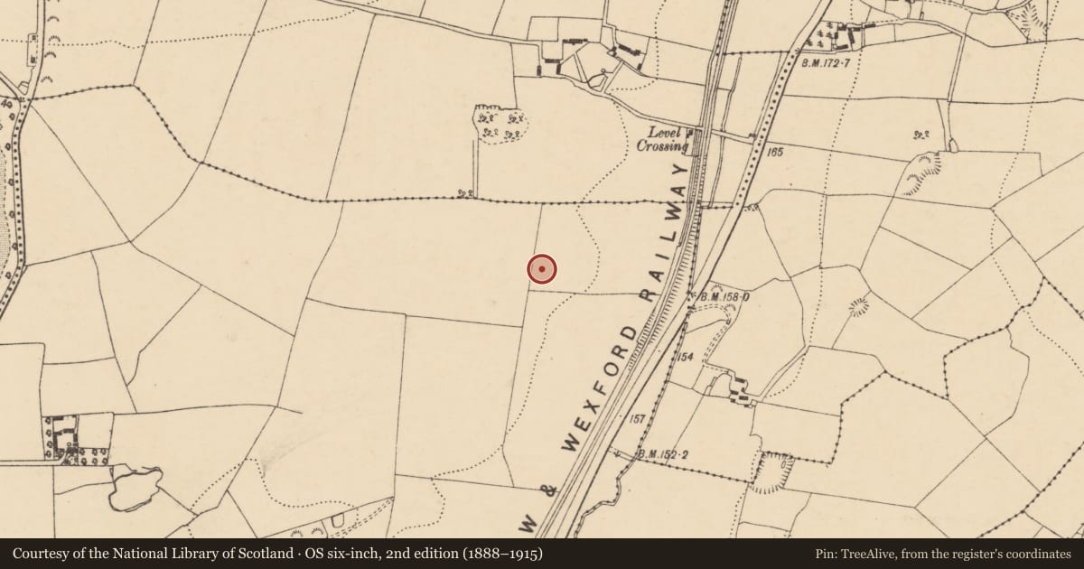 Ordnance Survey six-inch map, 2nd edition (1888–1915) covering the location of Ring-ditch, Ballytegan, County Wexford, with a pin at the register's coordinates