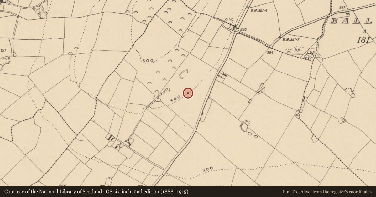 Ordnance Survey six-inch map, 2nd edition (1888–1915) covering the location of Urn burial, Kilmurry, County Wexford, with a pin at the register's coordinates