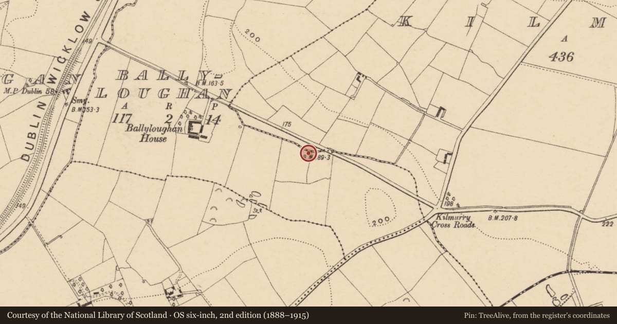 Ordnance Survey six-inch map, 2nd edition (1888–1915) covering the location of Fulacht fia, Ballyloughan, County Wexford, with a pin at the register's coordinates
