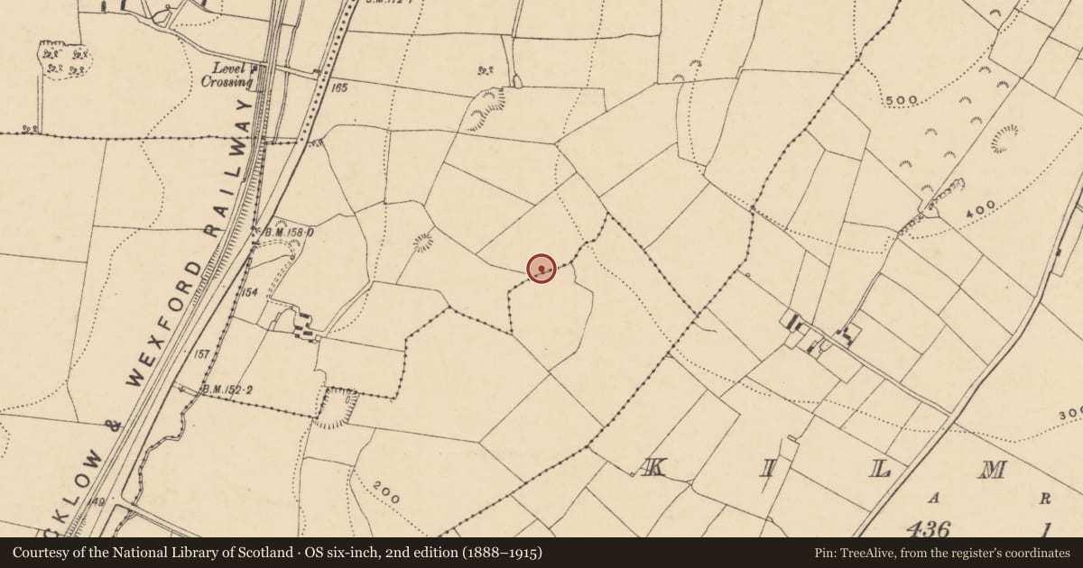 Ordnance Survey six-inch map, 2nd edition (1888–1915) covering the location of Fulacht fia, Ask, County Wexford, with a pin at the register's coordinates