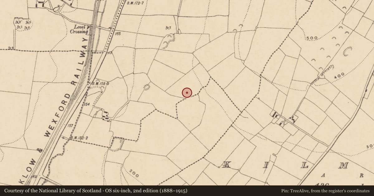 Ordnance Survey six-inch map, 2nd edition (1888–1915) covering the location of Hearth, Ask, County Wexford, with a pin at the register's coordinates