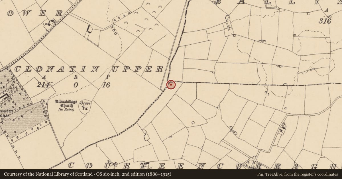 Ordnance Survey six-inch map, 2nd edition (1888–1915) covering the location of Fulacht fia, Courteencurragh, County Wexford, with a pin at the register's coordinates