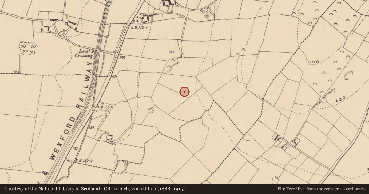 Ordnance Survey six-inch map, 2nd edition (1888–1915) covering the location of Excavation - miscellaneous, Ask, County Wexford, with a pin at the register's coordinates