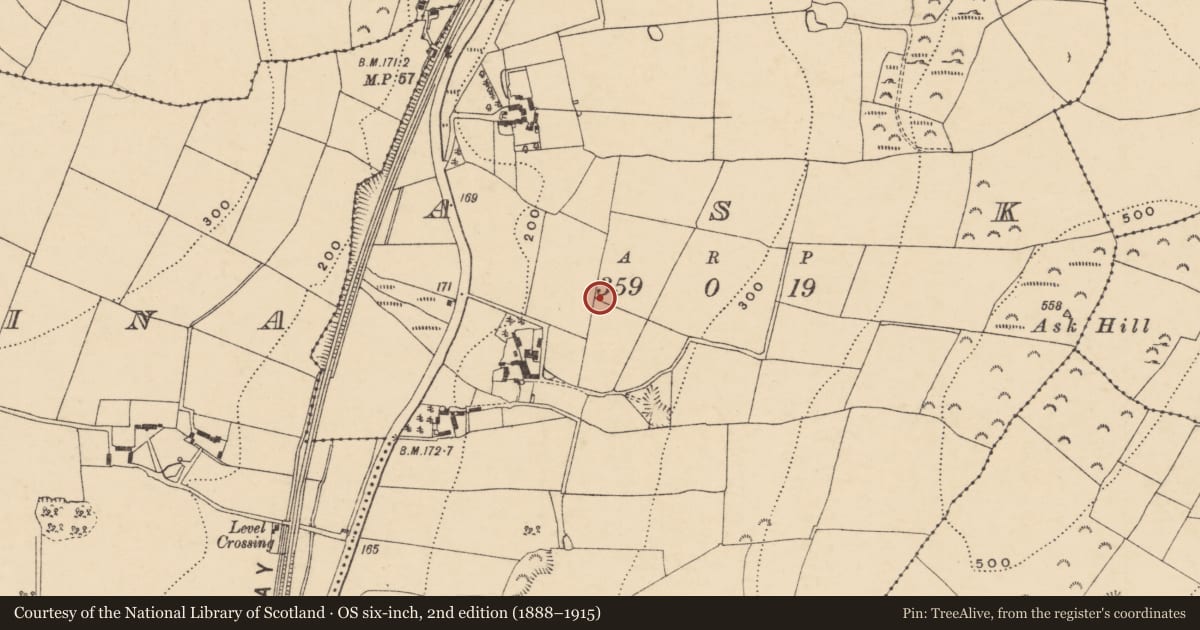 Ordnance Survey six-inch map, 2nd edition (1888–1915) covering the location of Excavation - miscellaneous, Ask, County Wexford, with a pin at the register's coordinates