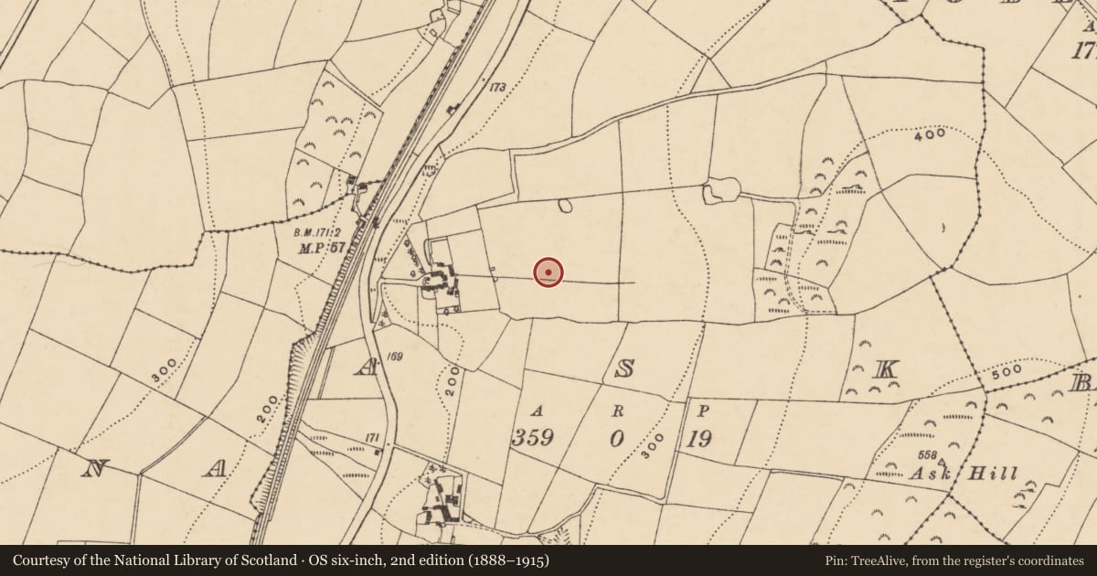Ordnance Survey six-inch map, 2nd edition (1888–1915) covering the location of Fulacht fia, Ask, County Wexford, with a pin at the register's coordinates