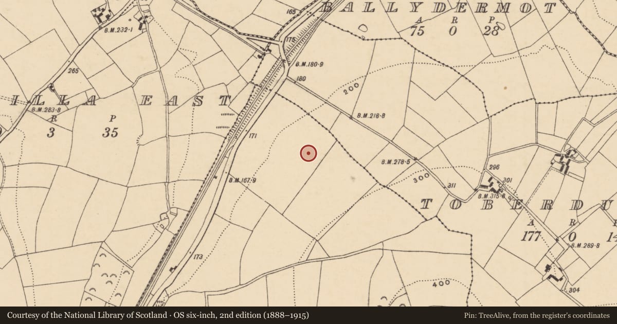 Ordnance Survey six-inch map, 2nd edition (1888–1915) covering the location of Field system, Ask, County Wexford, with a pin at the register's coordinates