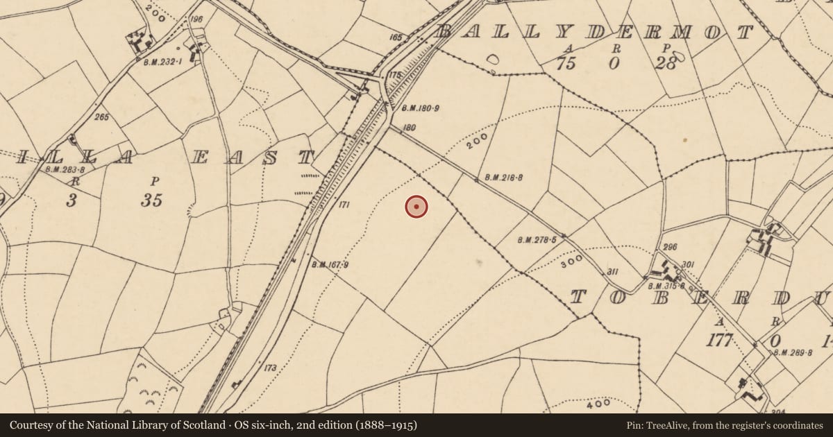 Ordnance Survey six-inch map, 2nd edition (1888–1915) covering the location of Standing stone, Ask, County Wexford, with a pin at the register's coordinates