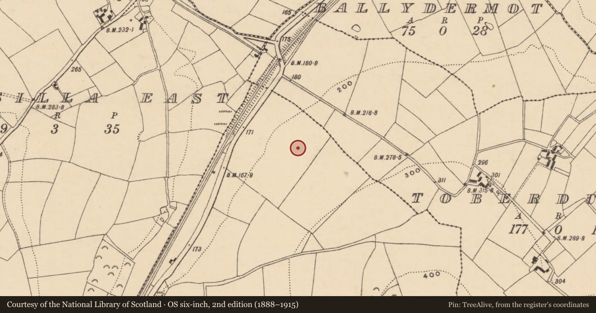 Ordnance Survey six-inch map, 2nd edition (1888–1915) covering the location of Ring-ditch, Ask, County Wexford, with a pin at the register's coordinates