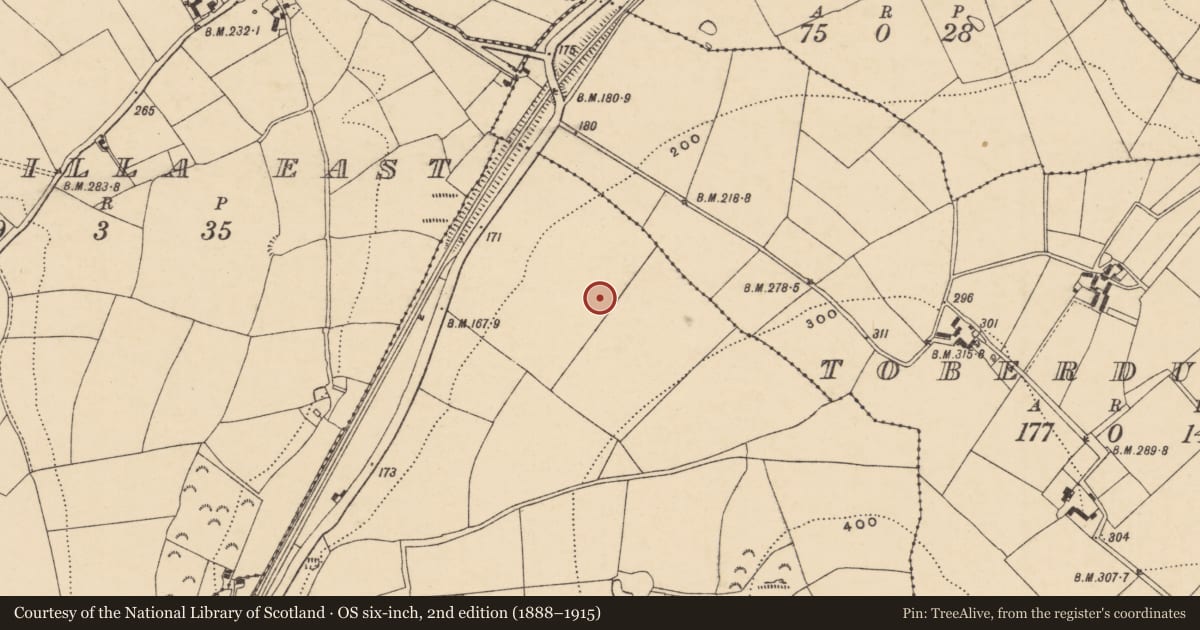 Ordnance Survey six-inch map, 2nd edition (1888–1915) covering the location of Enclosure, Ask, County Wexford, with a pin at the register's coordinates