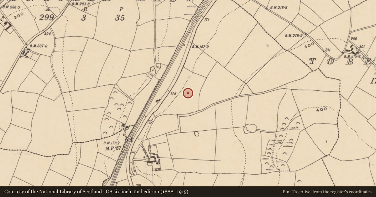 Ordnance Survey six-inch map, 2nd edition (1888–1915) covering the location of Standing stone, Ask, County Wexford, with a pin at the register's coordinates