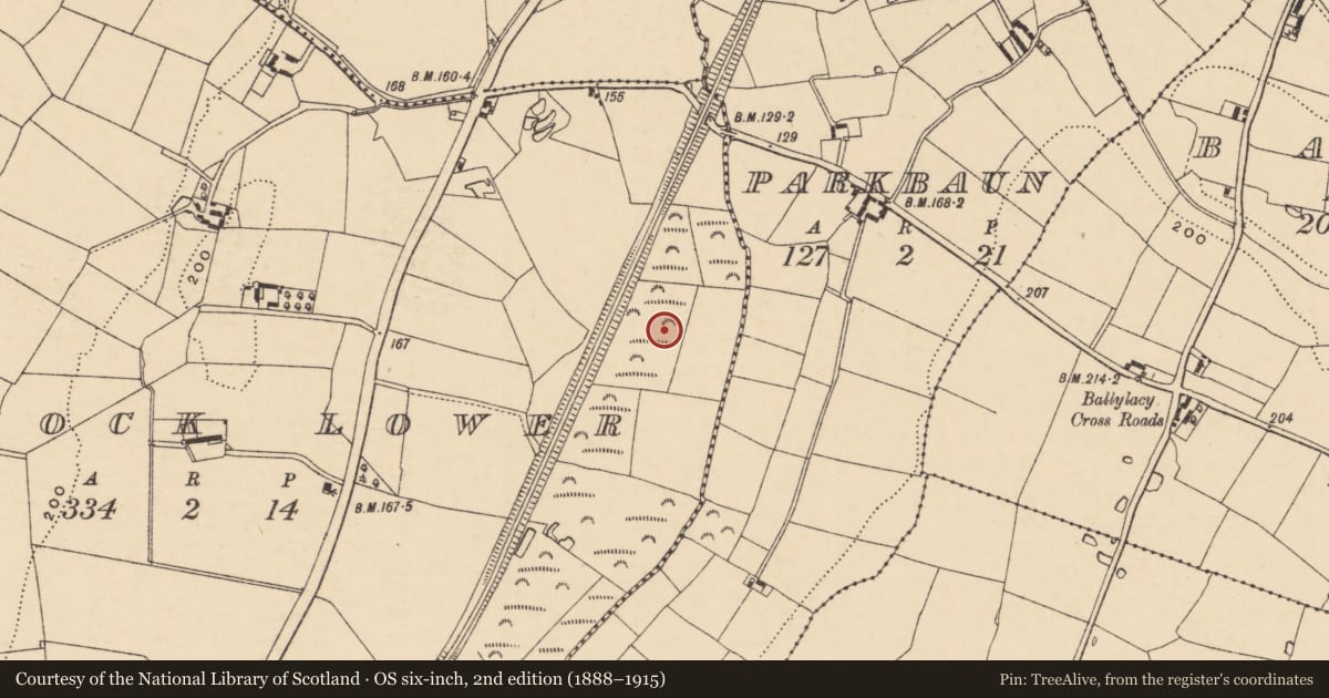 Ordnance Survey six-inch map, 2nd edition (1888–1915) covering the location of Burnt pit, Tinnock Lower, County Wexford, with a pin at the register's coordinates