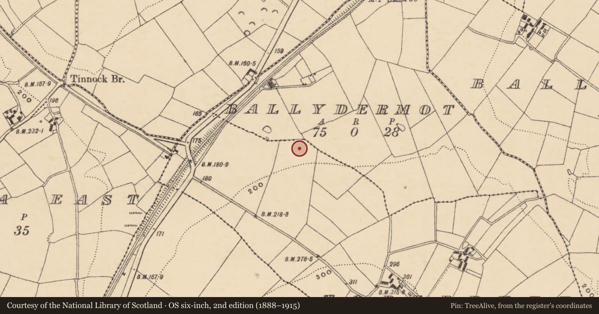 Ordnance Survey six-inch map, 2nd edition (1888–1915) covering the location of Kiln, Toberduff, County Wexford, with a pin at the register's coordinates