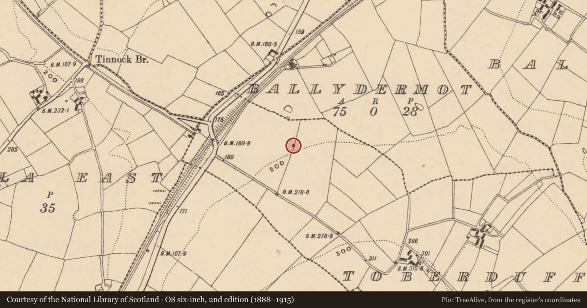 Ordnance Survey six-inch map, 2nd edition (1888–1915) covering the location of Structure, Toberduff, County Wexford, with a pin at the register's coordinates