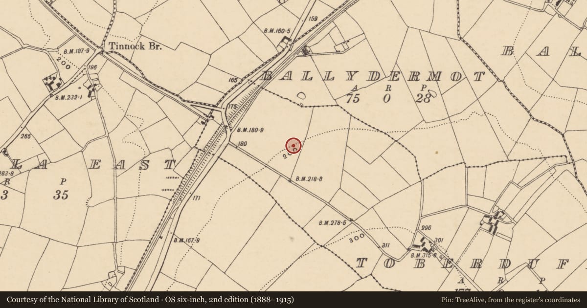Ordnance Survey six-inch map, 2nd edition (1888–1915) covering the location of Excavation - miscellaneous, Toberduff, County Wexford, with a pin at the register's coordinates